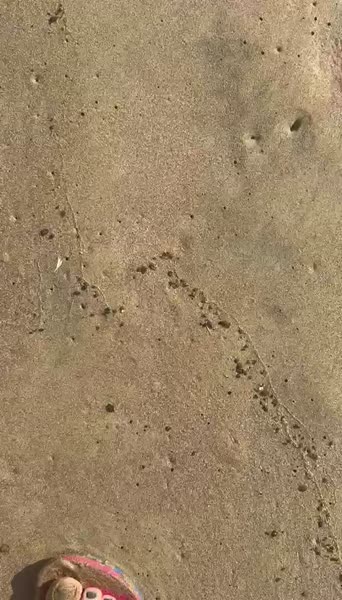 видео из отзыва ID 2683983