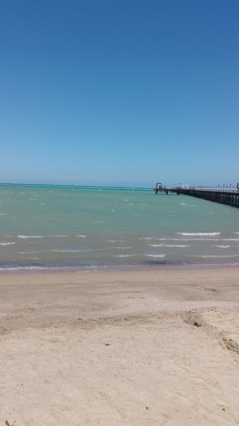 видео из отзыва ID 2684063