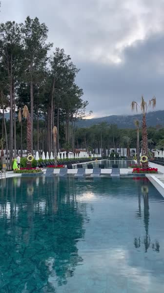 видео из отзыва ID 2684626