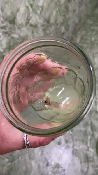 видео из отзыва ID 2659870