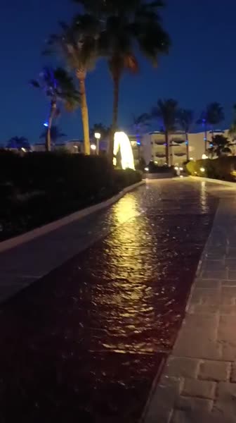 видео из отзыва ID 2685246