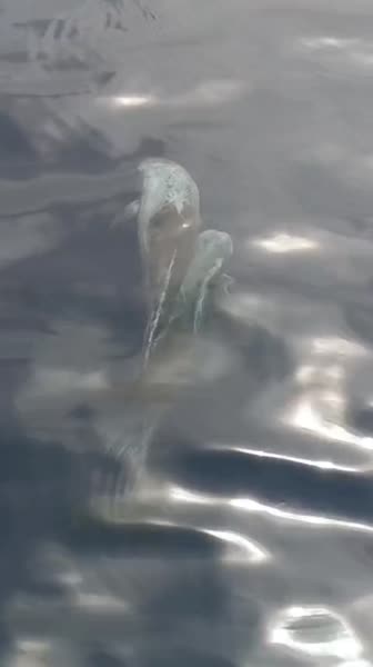 Видео из отеля