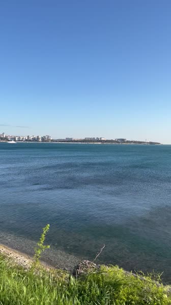 видео из отзыва ID 2685669