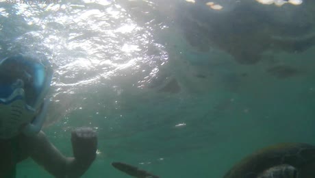 видео из отзыва ID 2685886