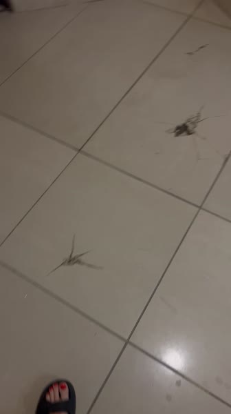 видео из отзыва ID 2686176