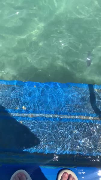 видео из отзыва ID 2686230
