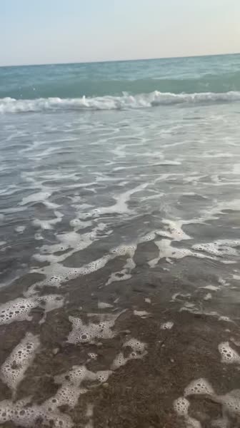 видео из отзыва ID 2686329