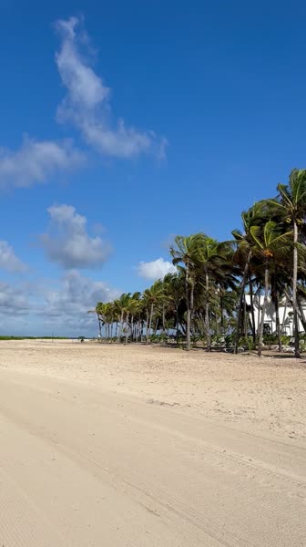 Видео из отеля Riu Turquoise 4*