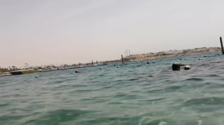 Hotel videos Sharm Holiday 4*