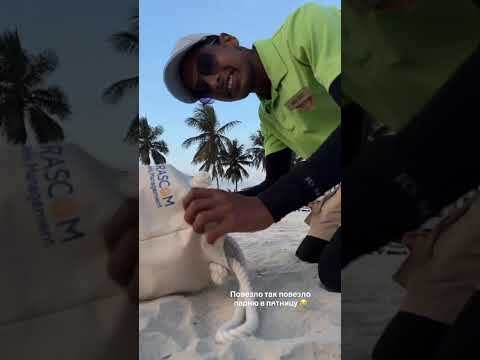 Видео из отеля Hilton Salalah Resort 5*