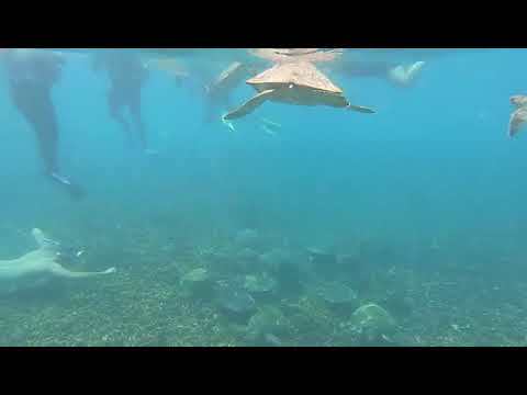 Hotel videos Hilton Salalah Resort 5*