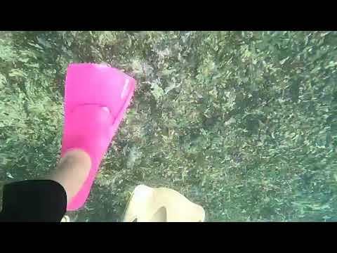 Hotel videos Crowne Plaza Resort Salalah 5*